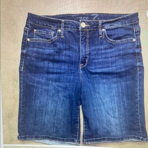 Men's Blue Jean Shorts